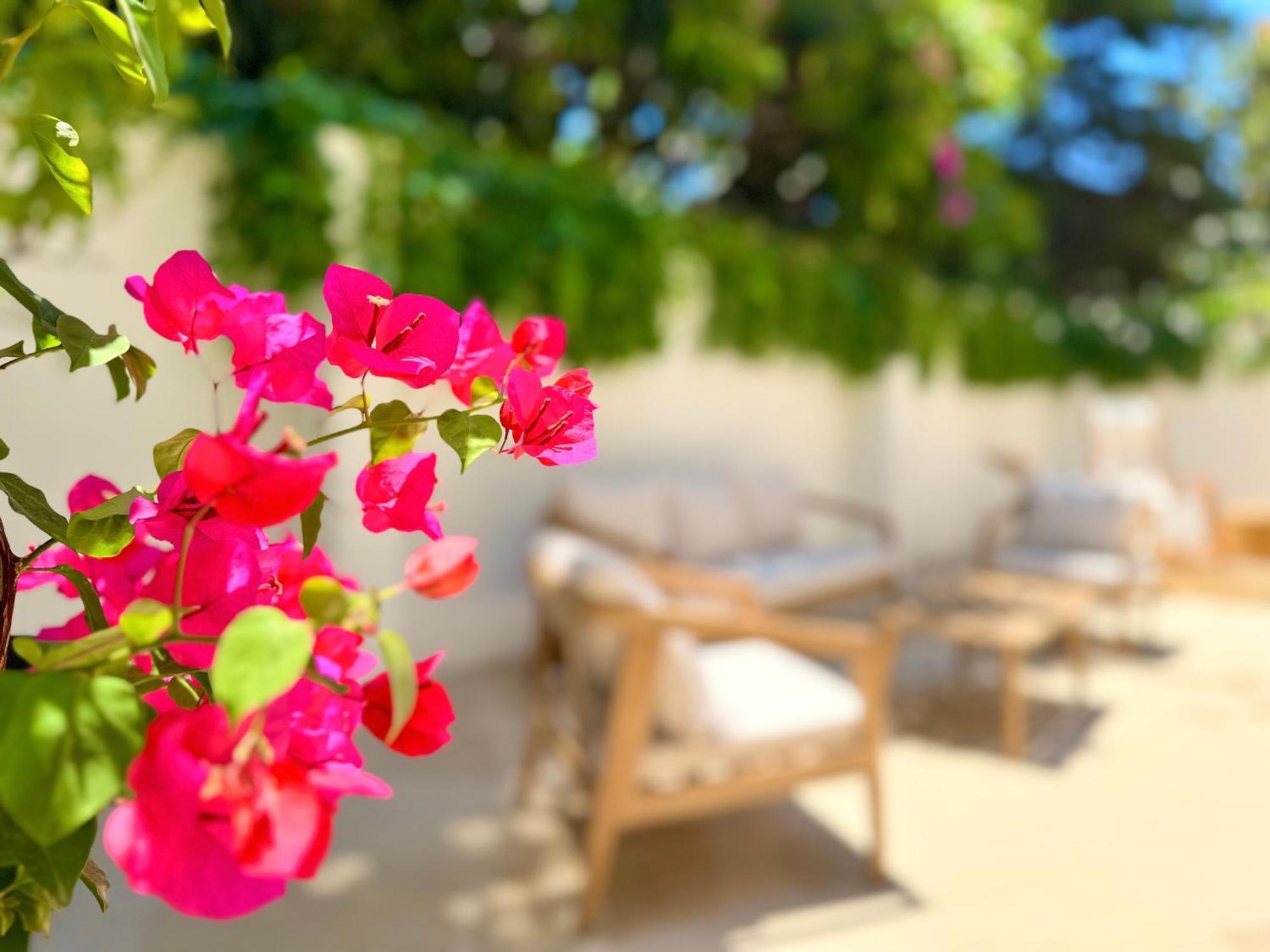 Carbone XXI Bed and Breakfast Κατάνια Εξωτερικό φωτογραφία